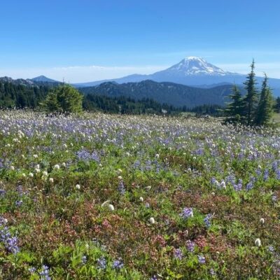 My Fourth Big Hike: Washington’s Goat Rocks Wilderness