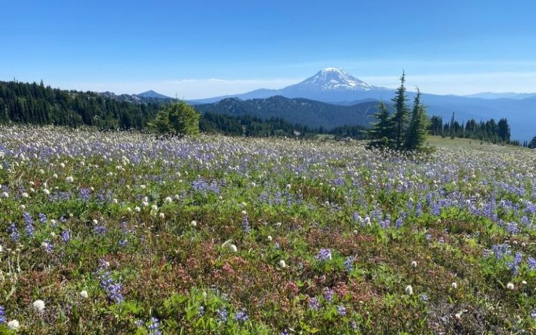 My Fourth Big Hike: Washington’s Goat Rocks Wilderness