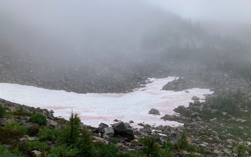 snow or glacial remains on the rocks in a mountain valley