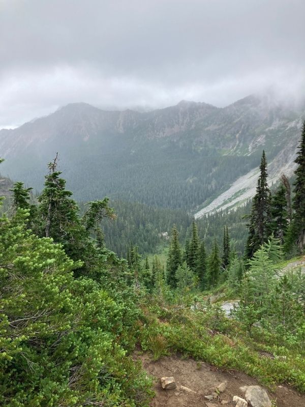 view of Alpine Lakes Wilderness -- mountains covered with dark clouds, trees in the foreground