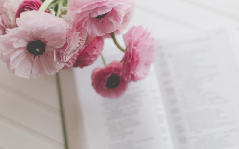 pink spring flowers with a Bible open in the background