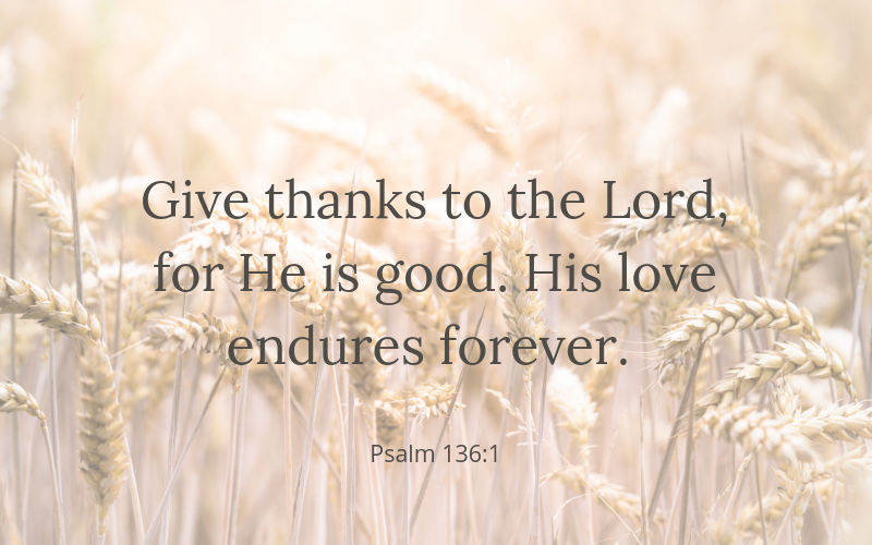 Why is it so hard to be thankful? I've struggled with this. Here are several reasons, and some solutions. Want to join me in being grateful every day?