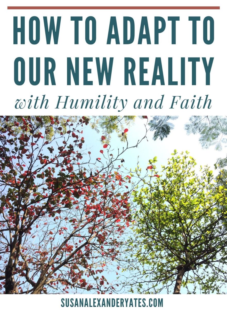 Sadness becomes frustration, tempers flare, blame increases, and a general grumpiness permeates the atmosphere. What is happening? What can we do?