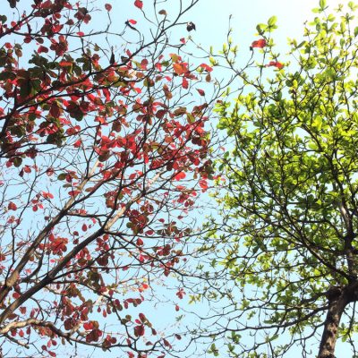 How to Adapt to Our New Reality with Humility and Faith