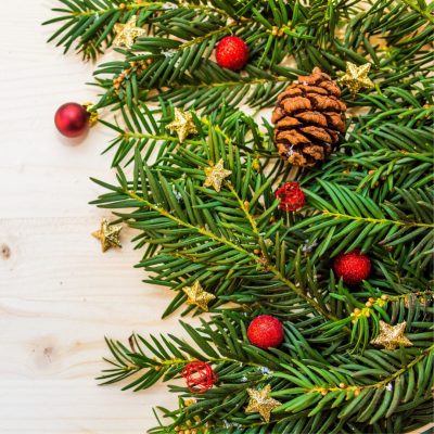 Ask Susan: A New Vision for Your Christmas