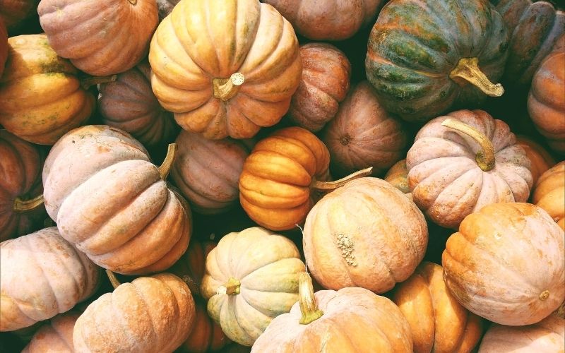 a bunch of pumpkins, orange, green, and white