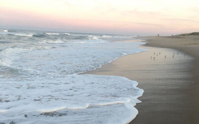 beach at sunset