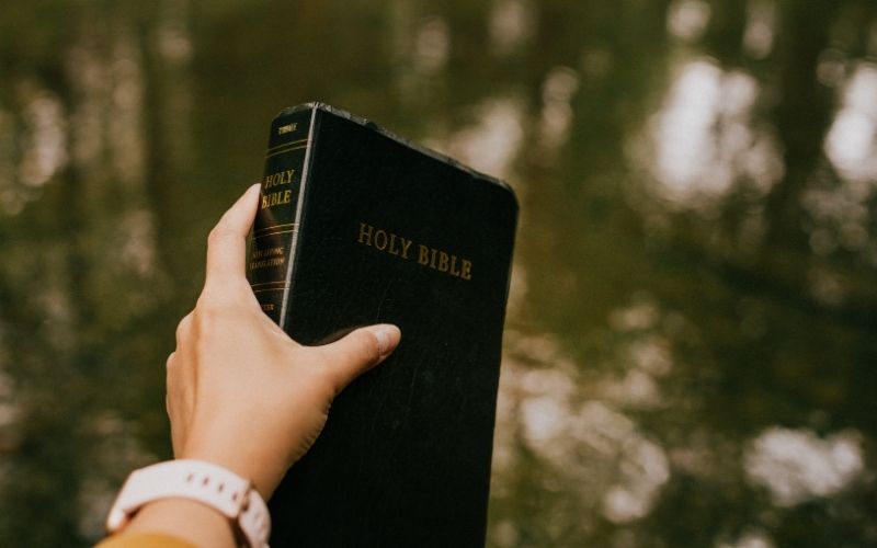 Woman's hand holding Bible outdoors, nature background