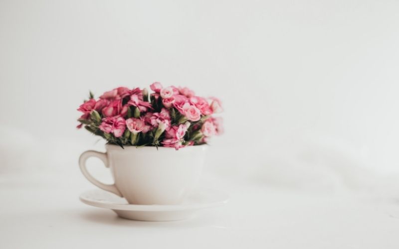 teacup full of tiny pink flowers